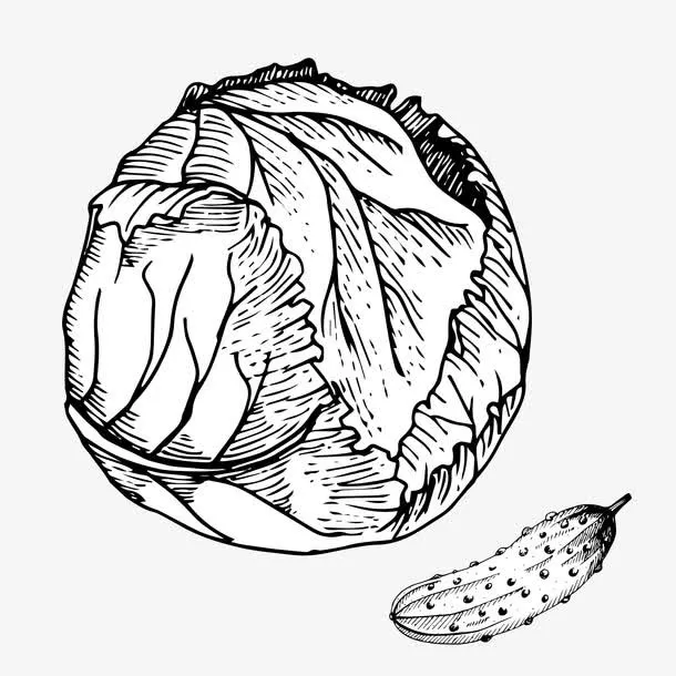 手绘蔬菜免抠