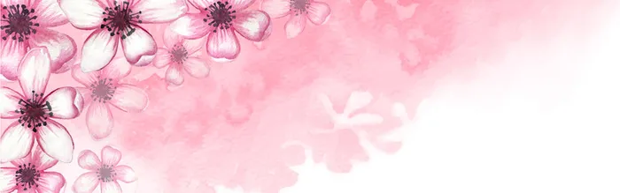粉色水彩梅花背景高清
