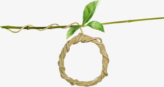 植物吊牌装饰免抠