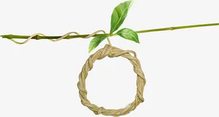 植物吊牌装饰免抠