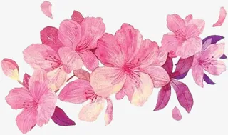 中国风桃花 粉色免抠