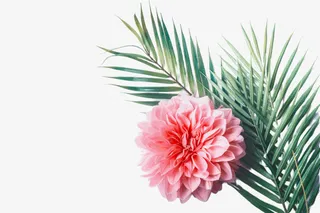 森系装饰 粉色花朵免抠