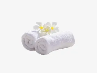 鸡蛋花 花瓣免抠