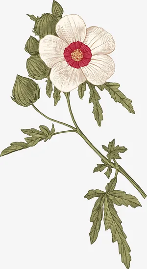 文艺清新花草花环海报设计装饰免抠