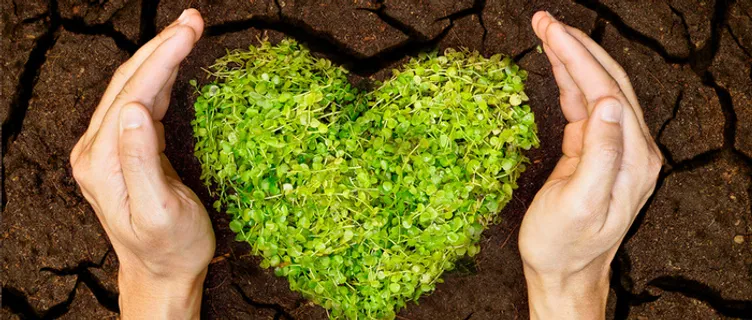 情人节背景高清