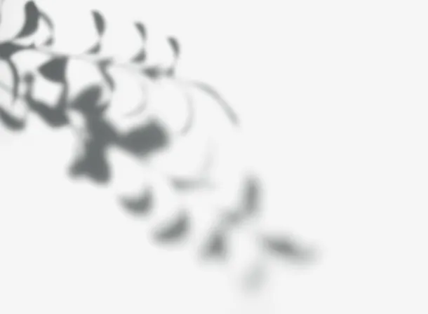 白光树叶漂亮光影免抠