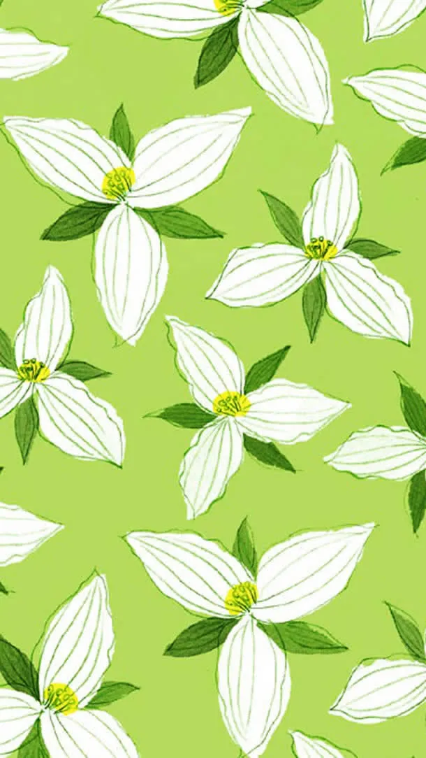 手绘白朵绿叶壁纸免抠