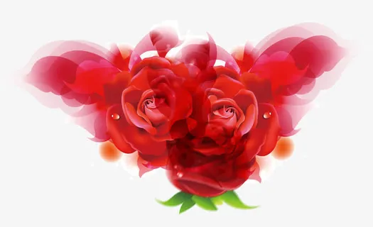红色玫瑰免抠