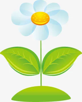 花瓣植物免抠