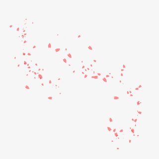粉色漂浮樱花花瓣免抠