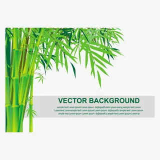 竹子自然风景插画免抠