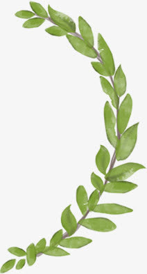 春天的绿叶枝条免抠