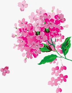 手绘樱花花纹免抠