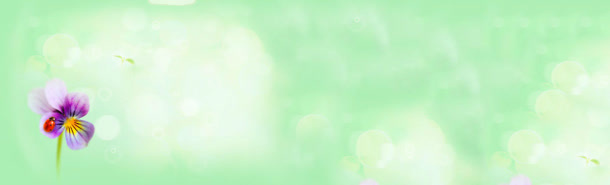 清新绿色光晕背景banner