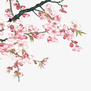 粉色桃花免抠手绘/卡通手绘元素 粉色桃花免抠手绘/卡通手绘元素
