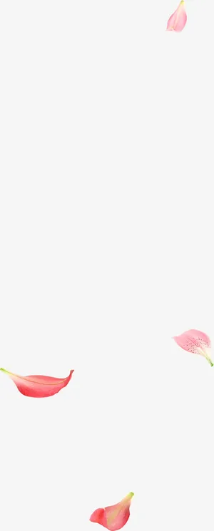 飘落花瓣png素材免抠