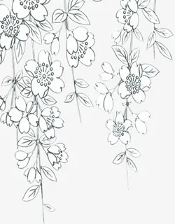 素描花朵藤蔓七夕情人节背景