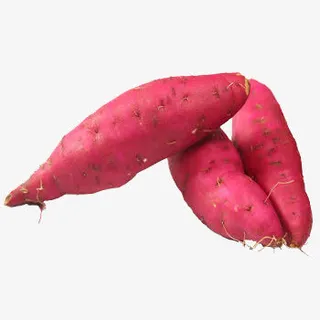 新鲜小红薯免抠 新鲜小红薯免抠
