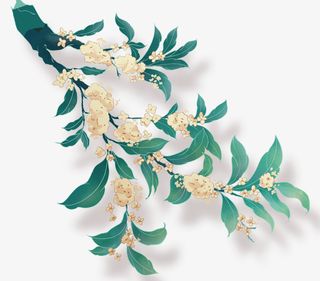 手绘卡通桂花装饰元素免抠