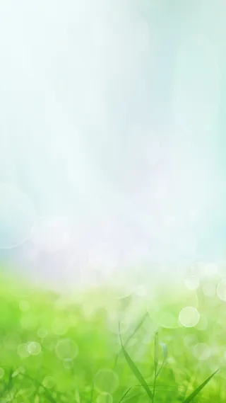 绿色小清新H5背景高清
