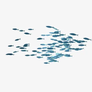 游动蓝色小鱼免抠