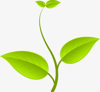 春天精美绿色树叶免抠