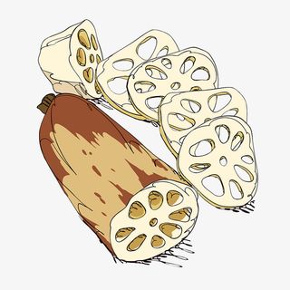 手绘黄色的莲藕免抠