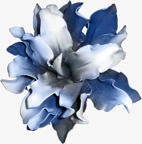 渐变花朵免抠