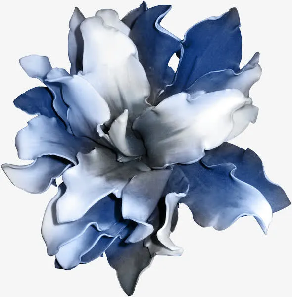 渐变花朵免抠