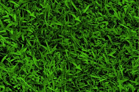 草地背景免抠背景底纹元素 草地背景免抠背景底纹元素