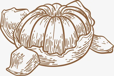 薄皮卡通矢量手绘橘子免抠