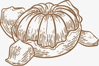 薄皮卡通矢量手绘橘子免抠