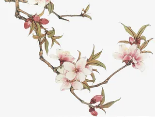 手绘桃花树枝免抠