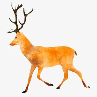手绘麋鹿免抠