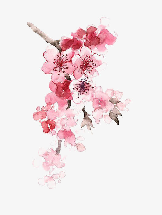 水彩花朵免抠
