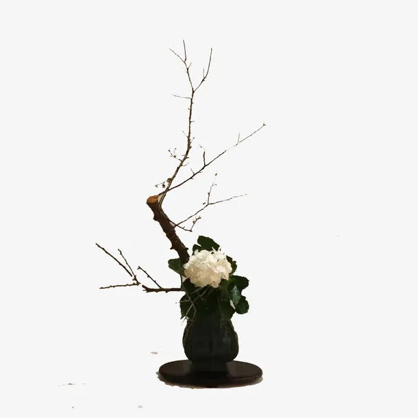 禅意插花免抠