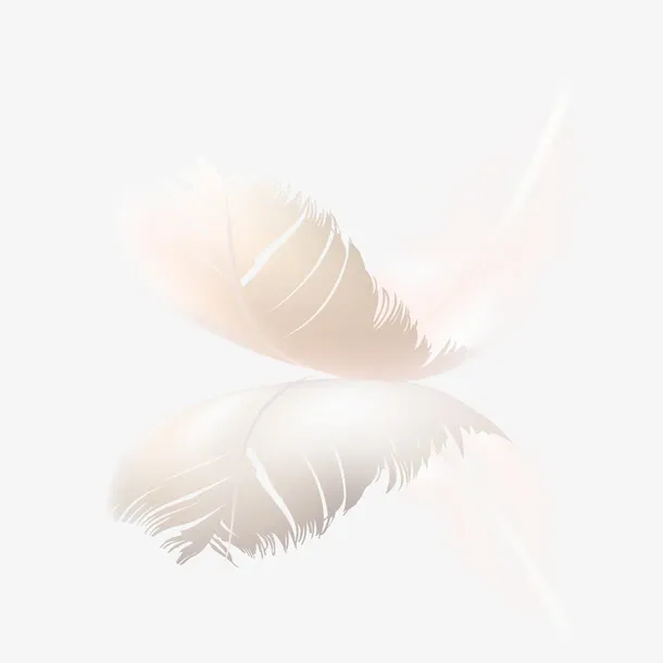 矢量羽毛免抠