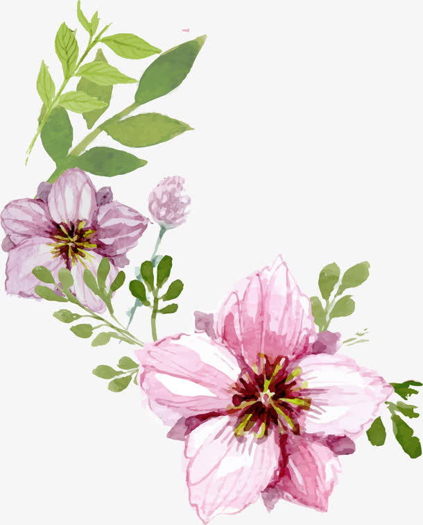 手绘花叶素材免抠