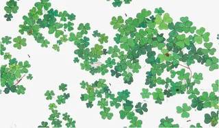 绿色PS免扣纹理免抠