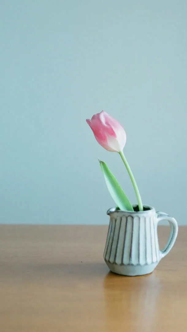 粉色含苞待放玫瑰免抠