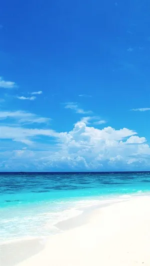 沙滩海景H5背景高清