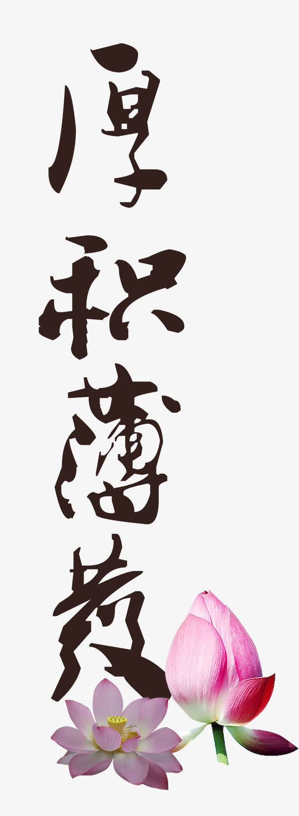 厚积薄发免抠