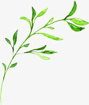 绿色文艺手绘文艺小草树枝免抠