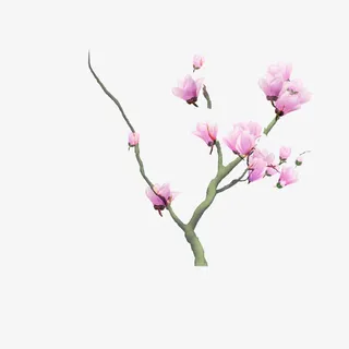 浪漫粉红色桃花枝素材免抠