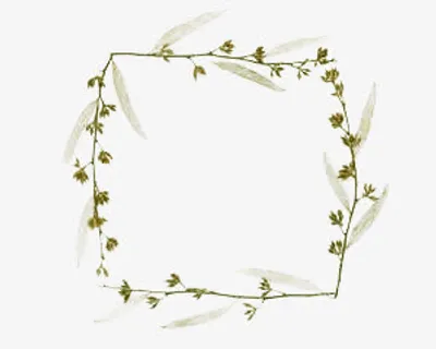 手抄报花边免抠