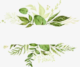 特色的文艺植物边框免抠