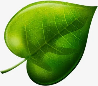 绿色春天树叶美景设计手绘免抠