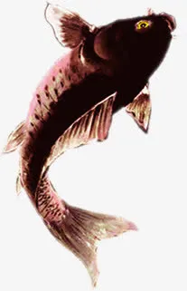 红色中国画鲤鱼金秋免抠