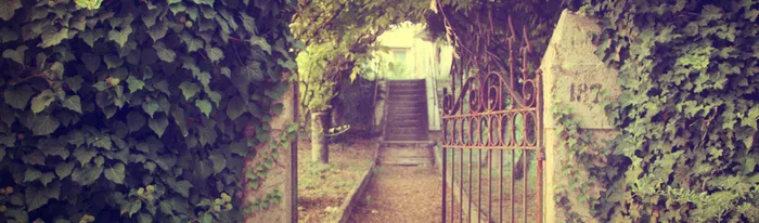 春季庭院女装banner高清