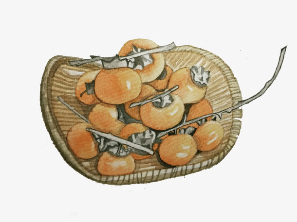 手绘柿子免抠